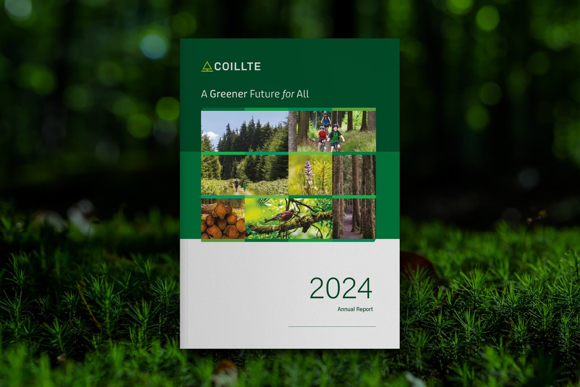 IO Reports_Coillte AR24_5-min.jpg