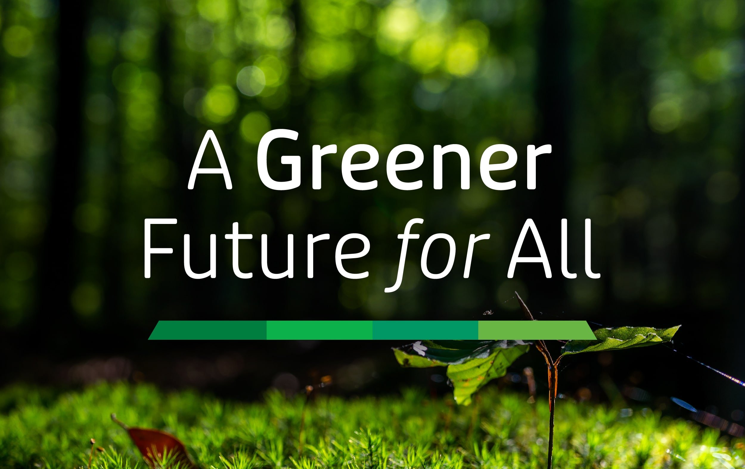 Forests for climate, nature, wood and people