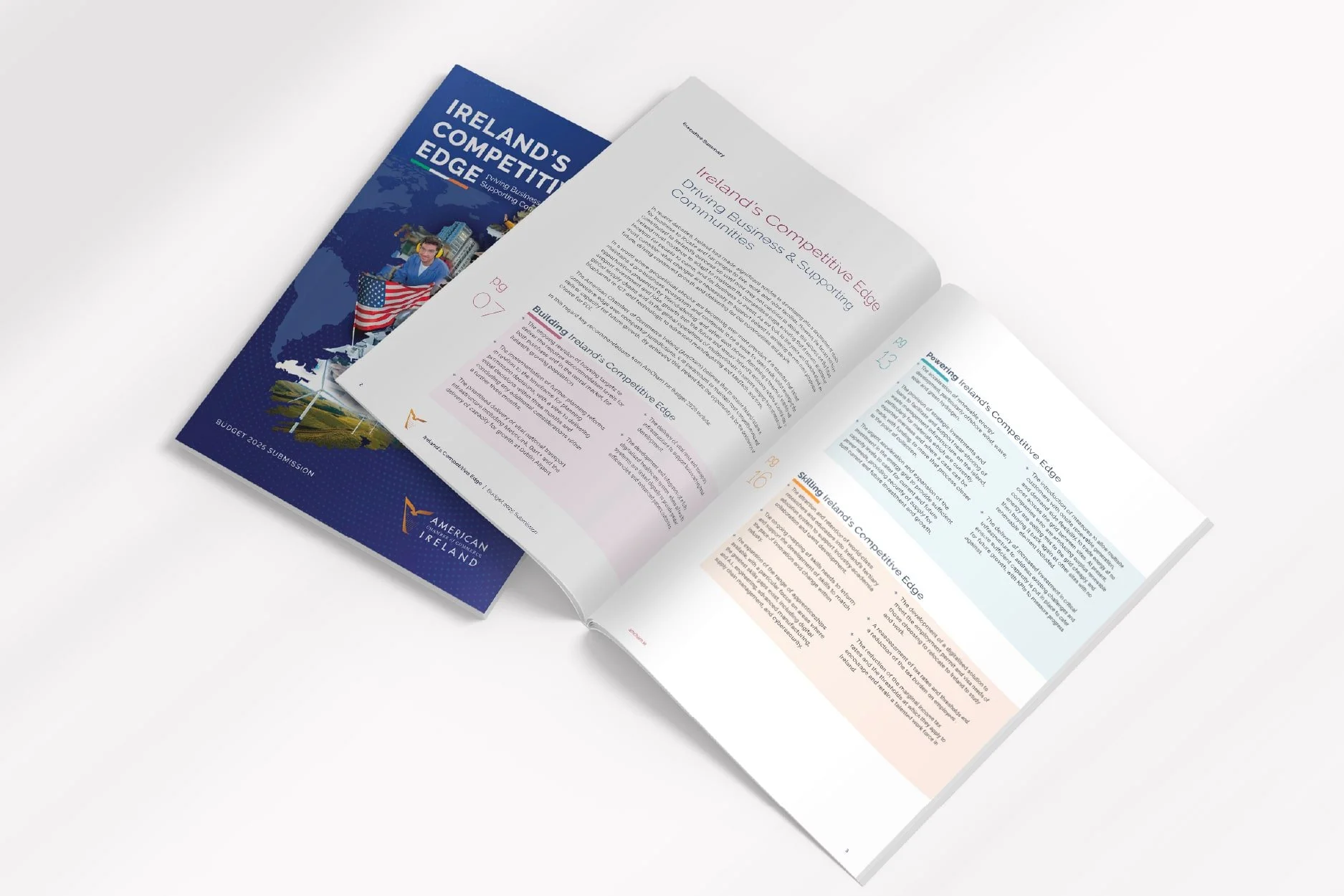 IO Reports_AmCham PreBudget25_2-min.jpg