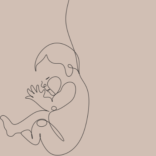 Minimalist continuous line drawing of a baby in the womb.