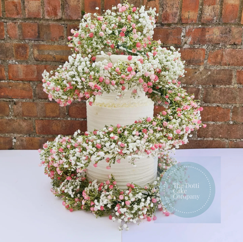 Dotti Cake Company.png