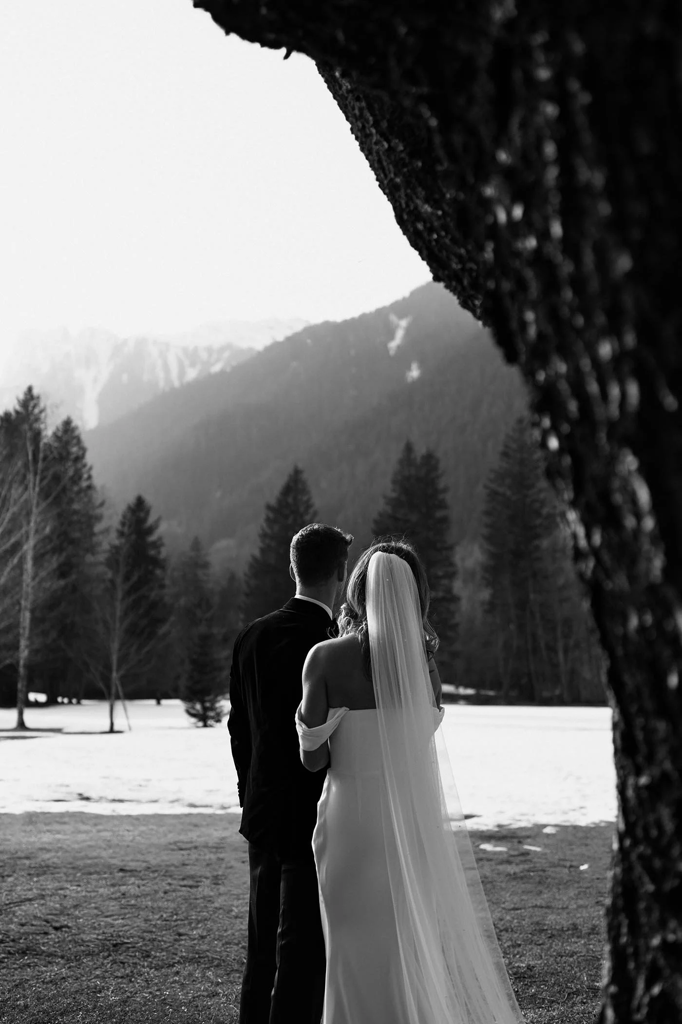 A black and white photo of a newlywed couple standing outdoors in a scenic mountainous area with trees. The couple is facing away from the camera, with the groom wearing a dark suit and the bride in a white wedding dress with a long veil border