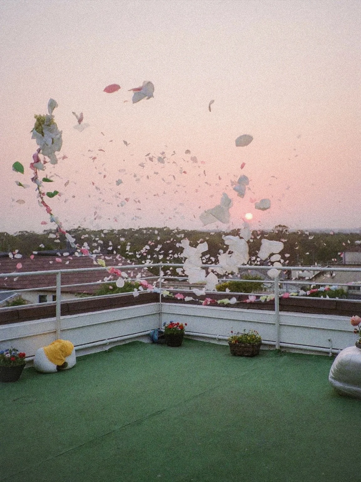 Rooftop Journey,  2026