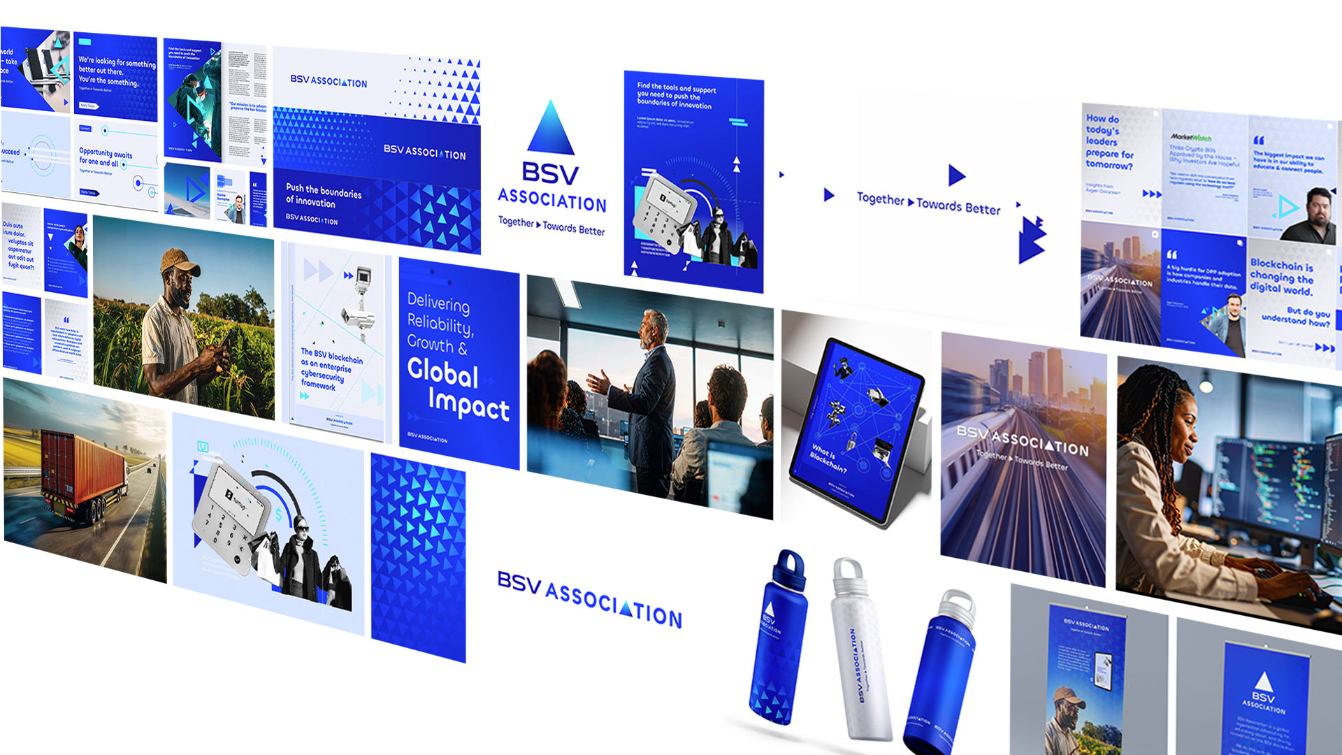 BSVA+brand+grid.webp