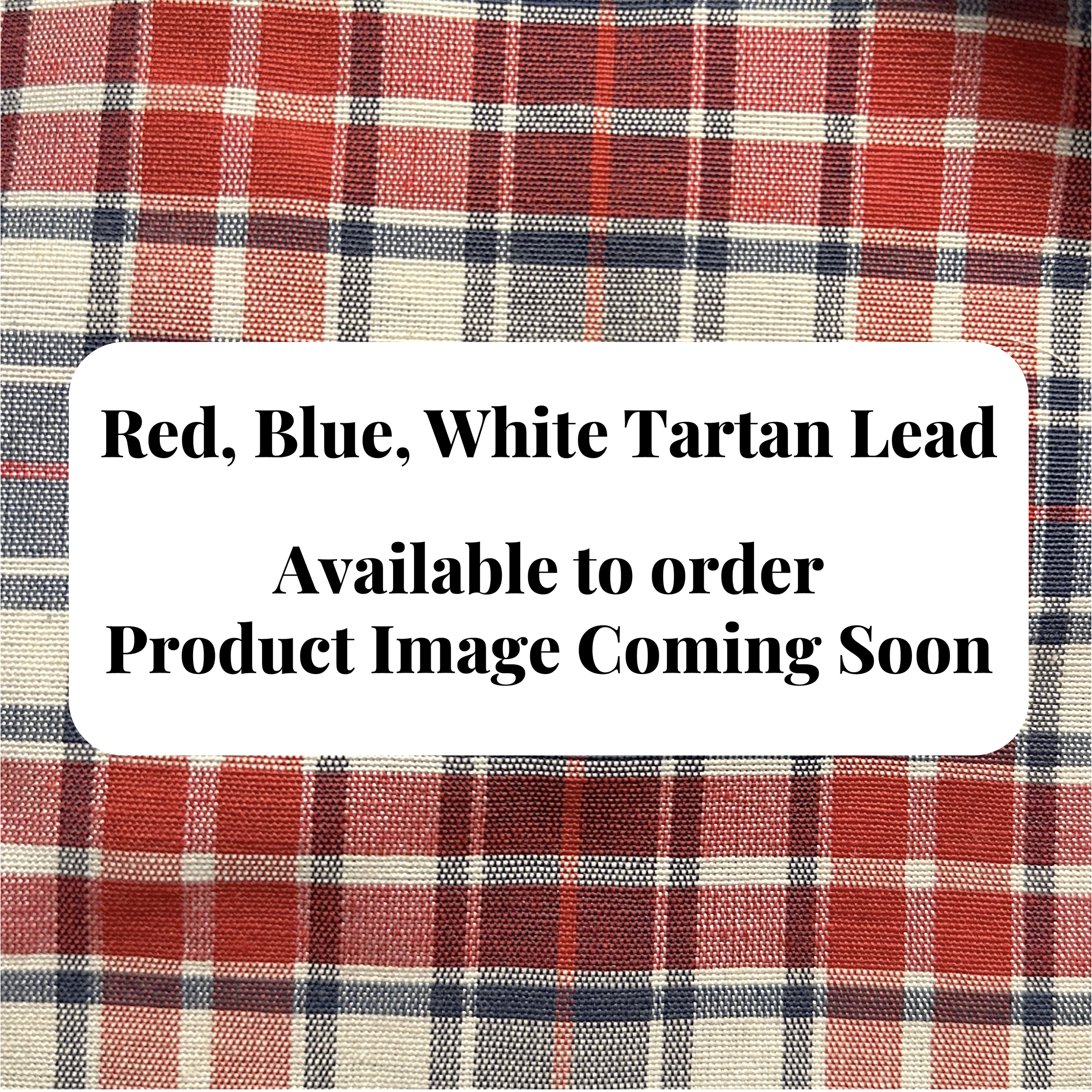Lead - Red, Blue and White Tartan