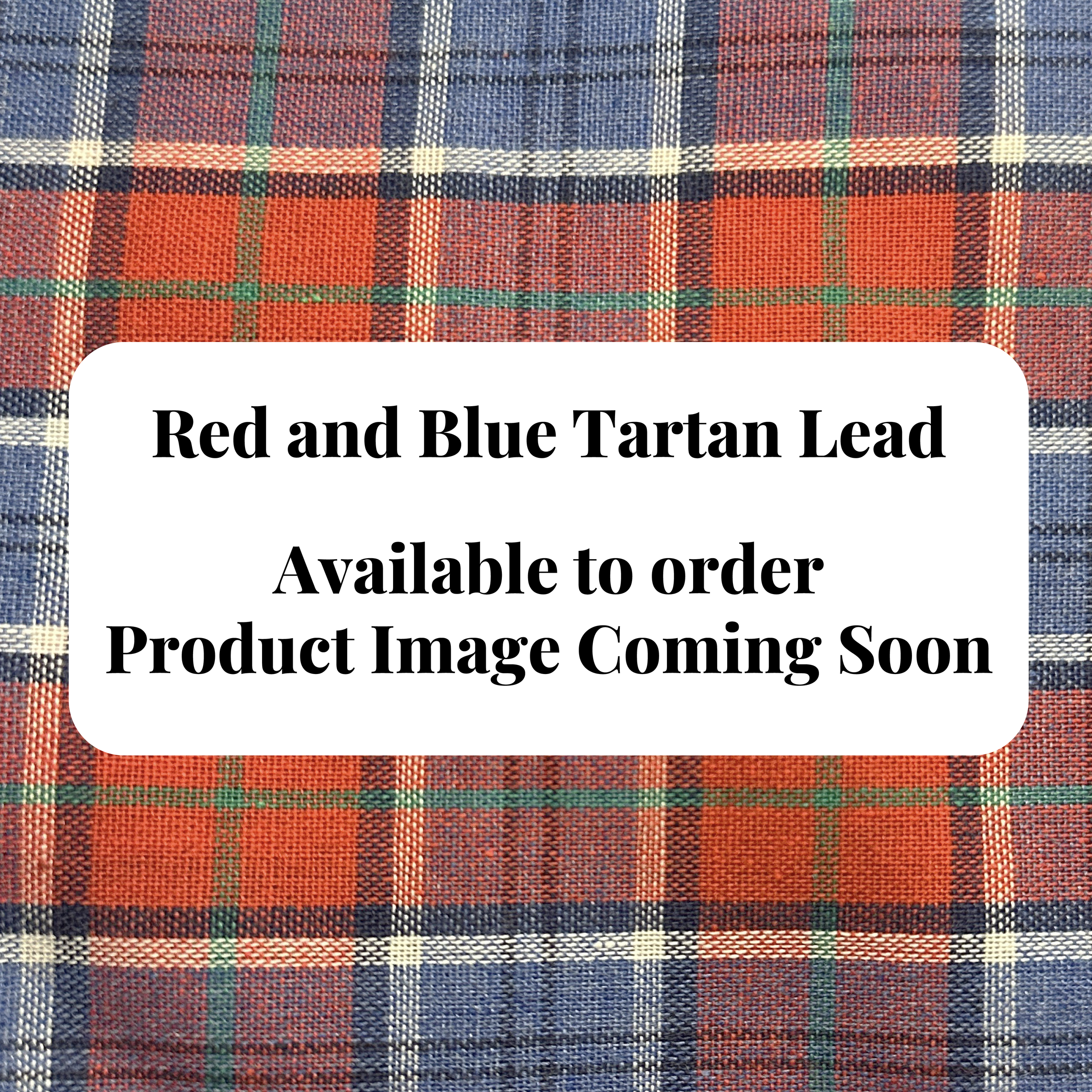 Lead - Red and Blue Tartan
