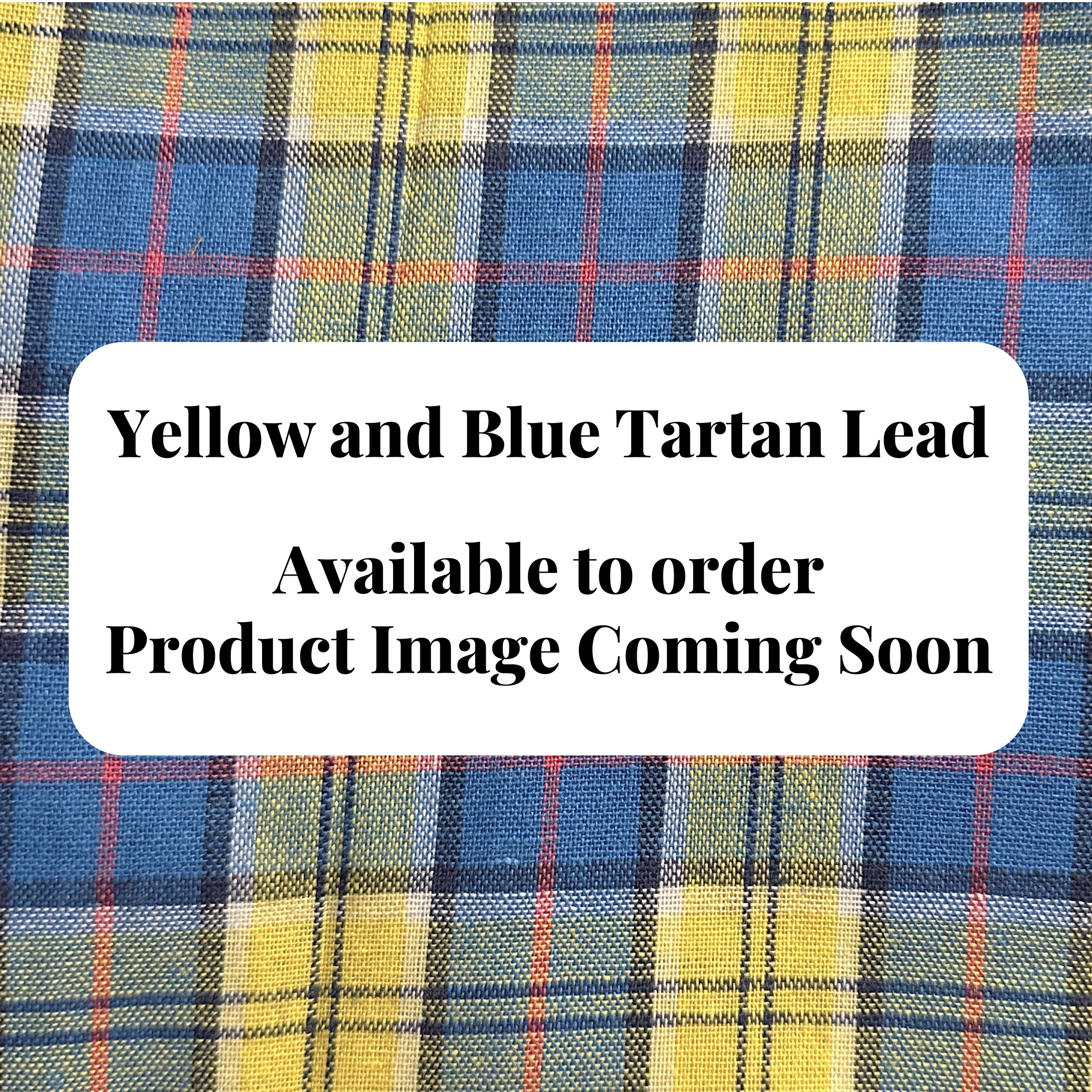 Lead - Yellow and Blue Tartan