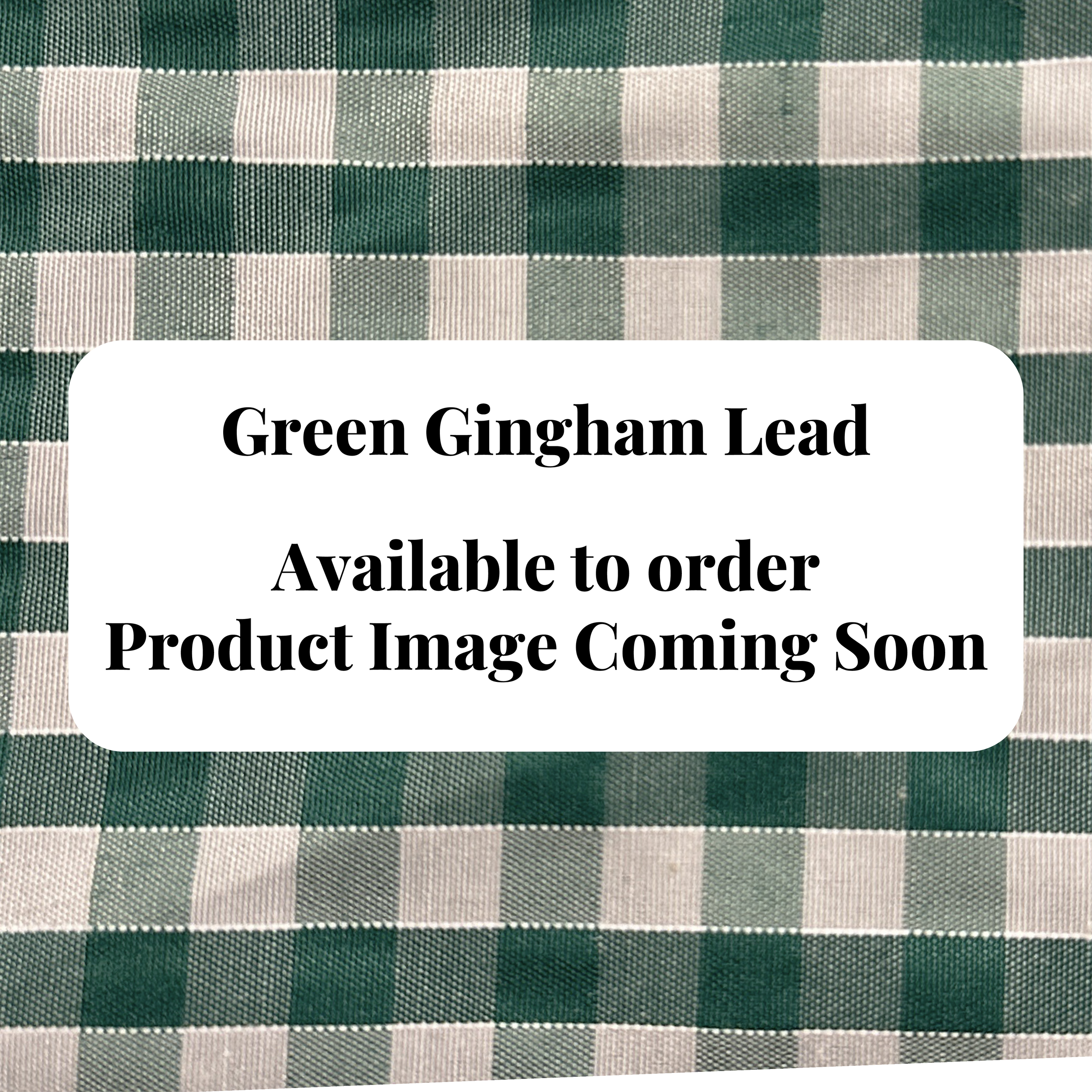 Lead - Green Gingham