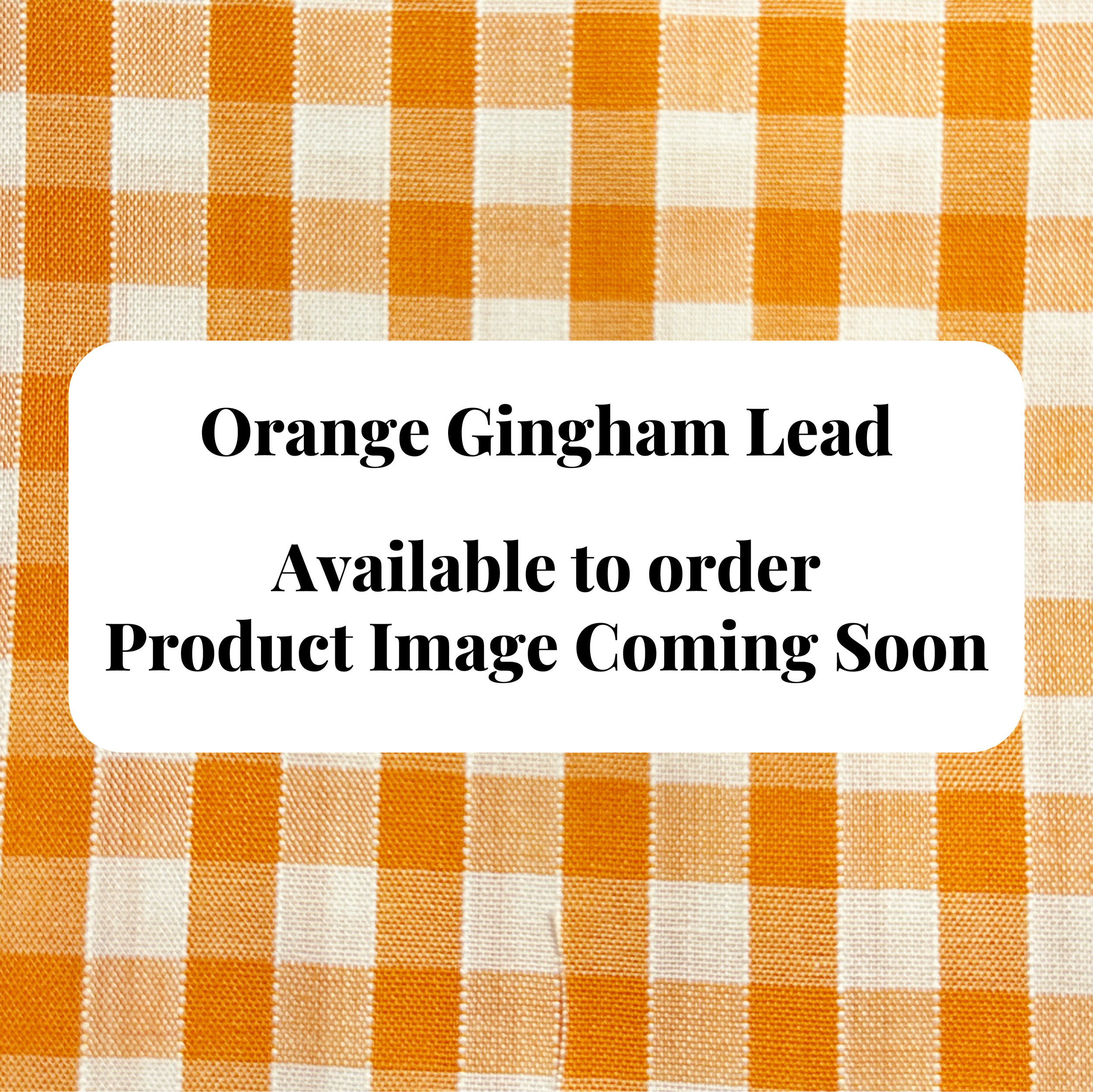 Lead - Orange Gingham