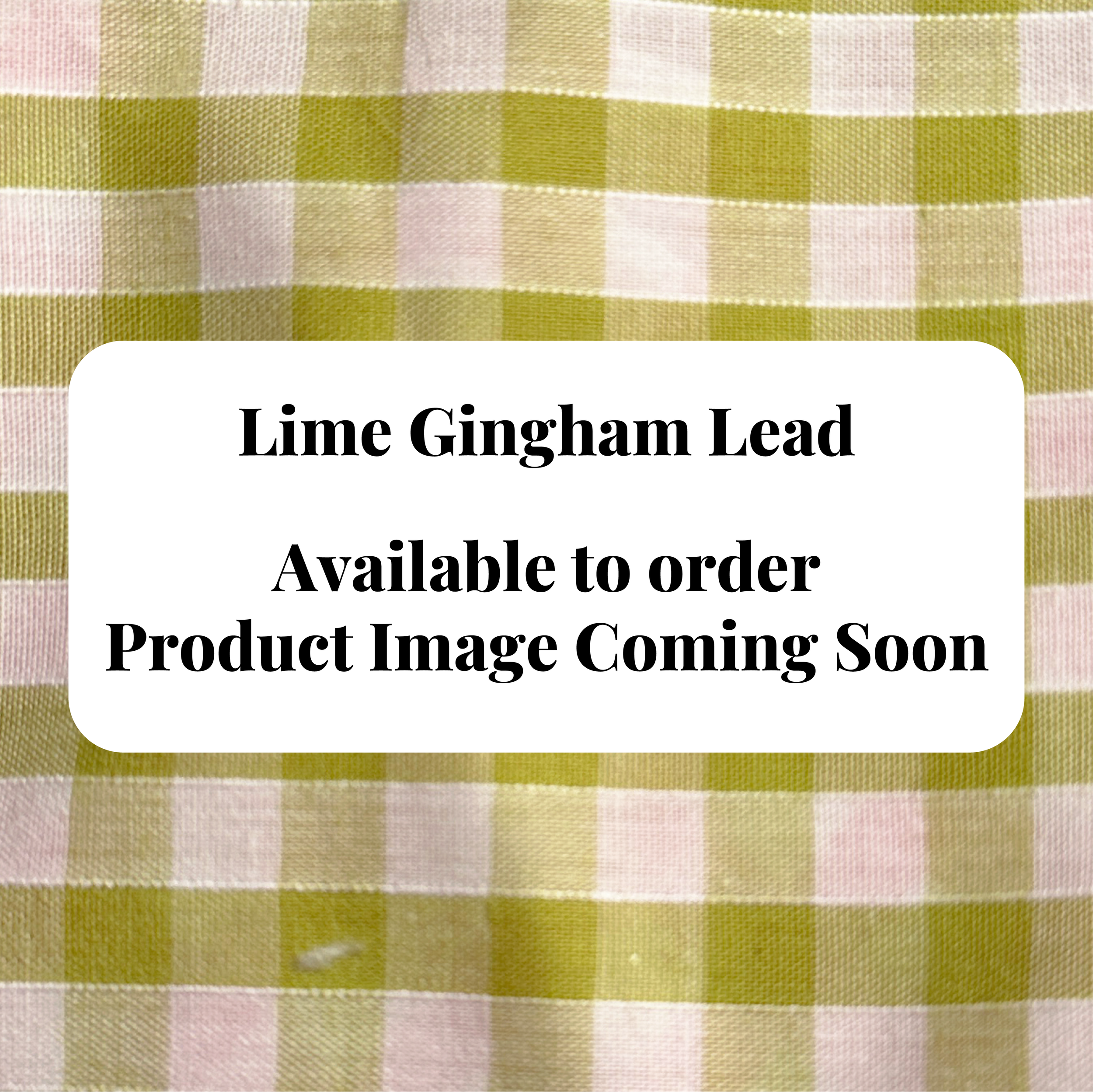 Lead - Lime Gingham