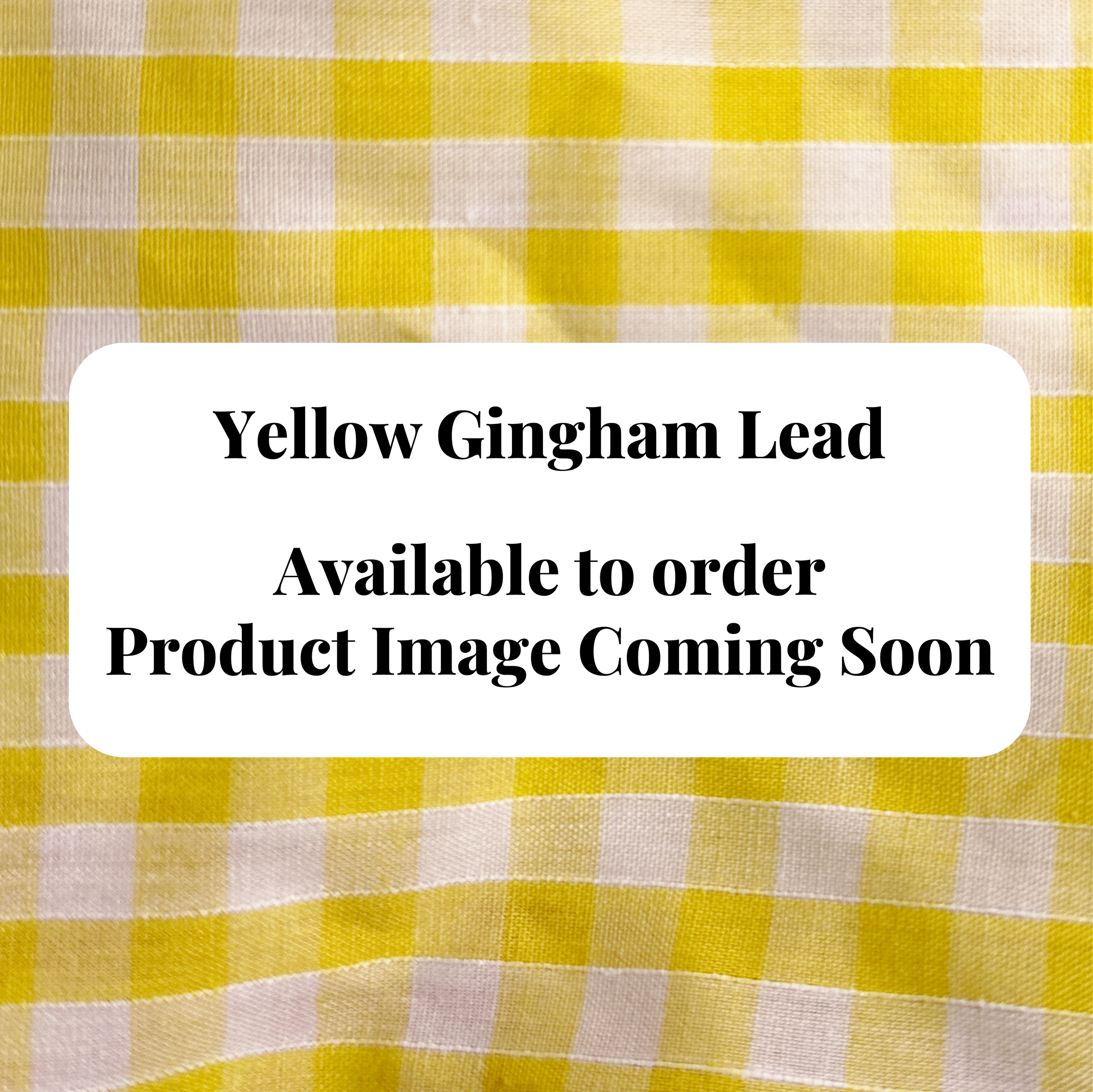 Lead - Yellow Gingham