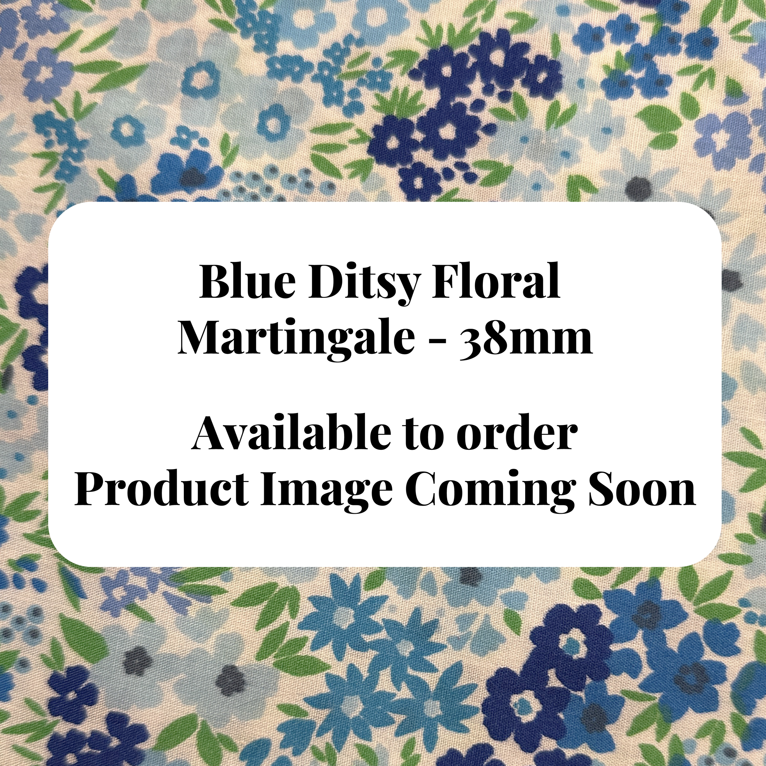 Martingale Dog Collar — Blue Ditsy Floral — 38mm