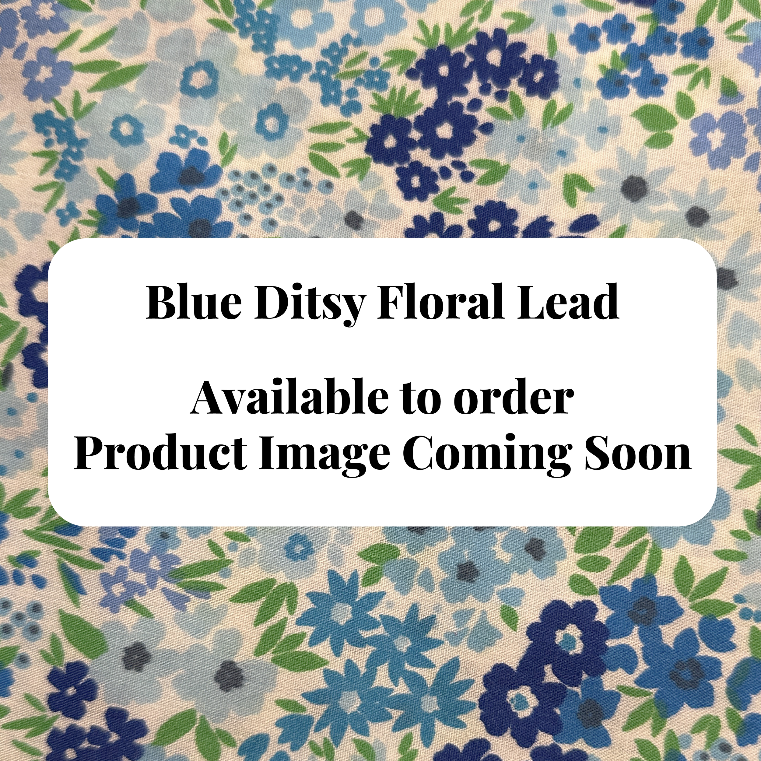 Lead - Blue Ditsy Floral