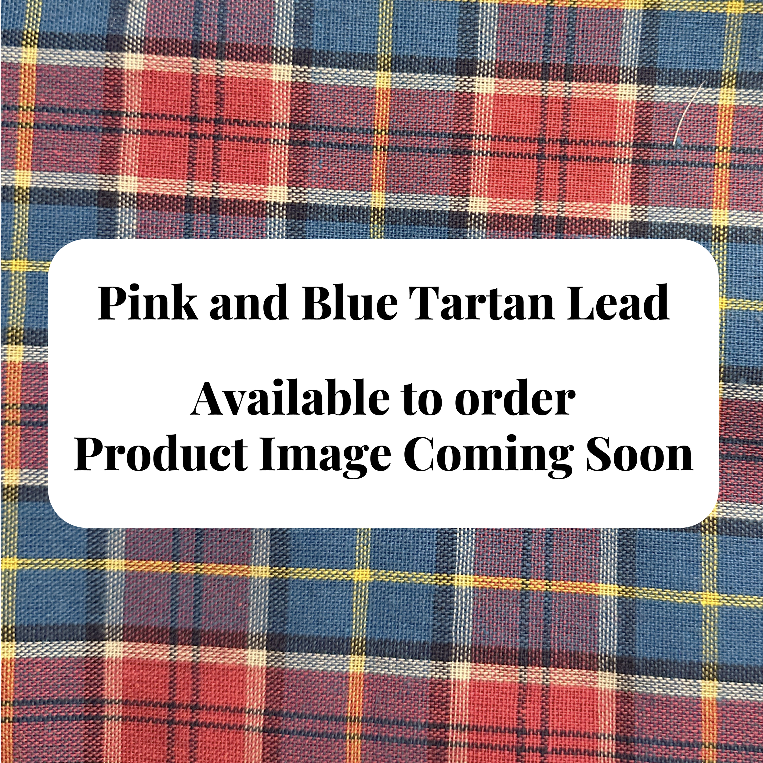 Lead - Pink and Blue Tartan