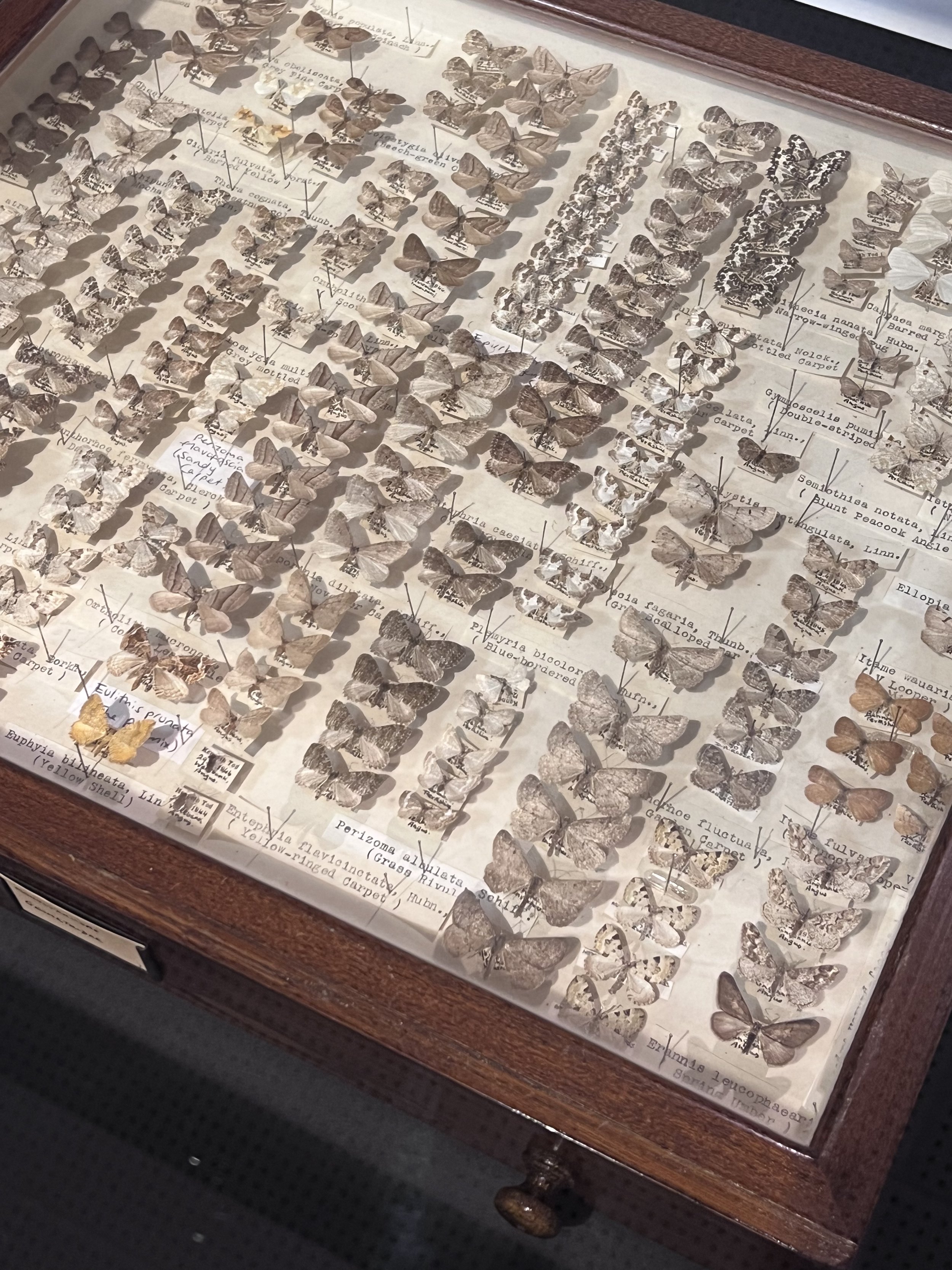 Museum of Tiny Things - Workshop (2025)