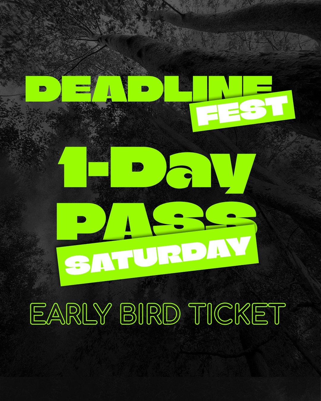 Early Bird: Saturday