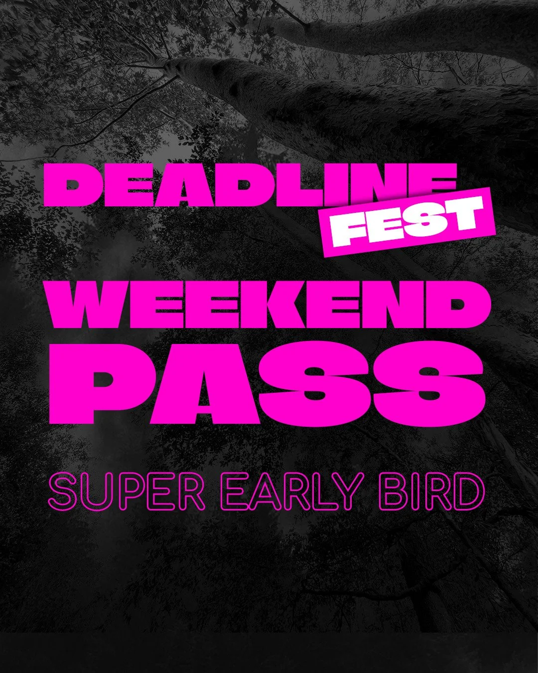Super Early Bird: Weekend Pass