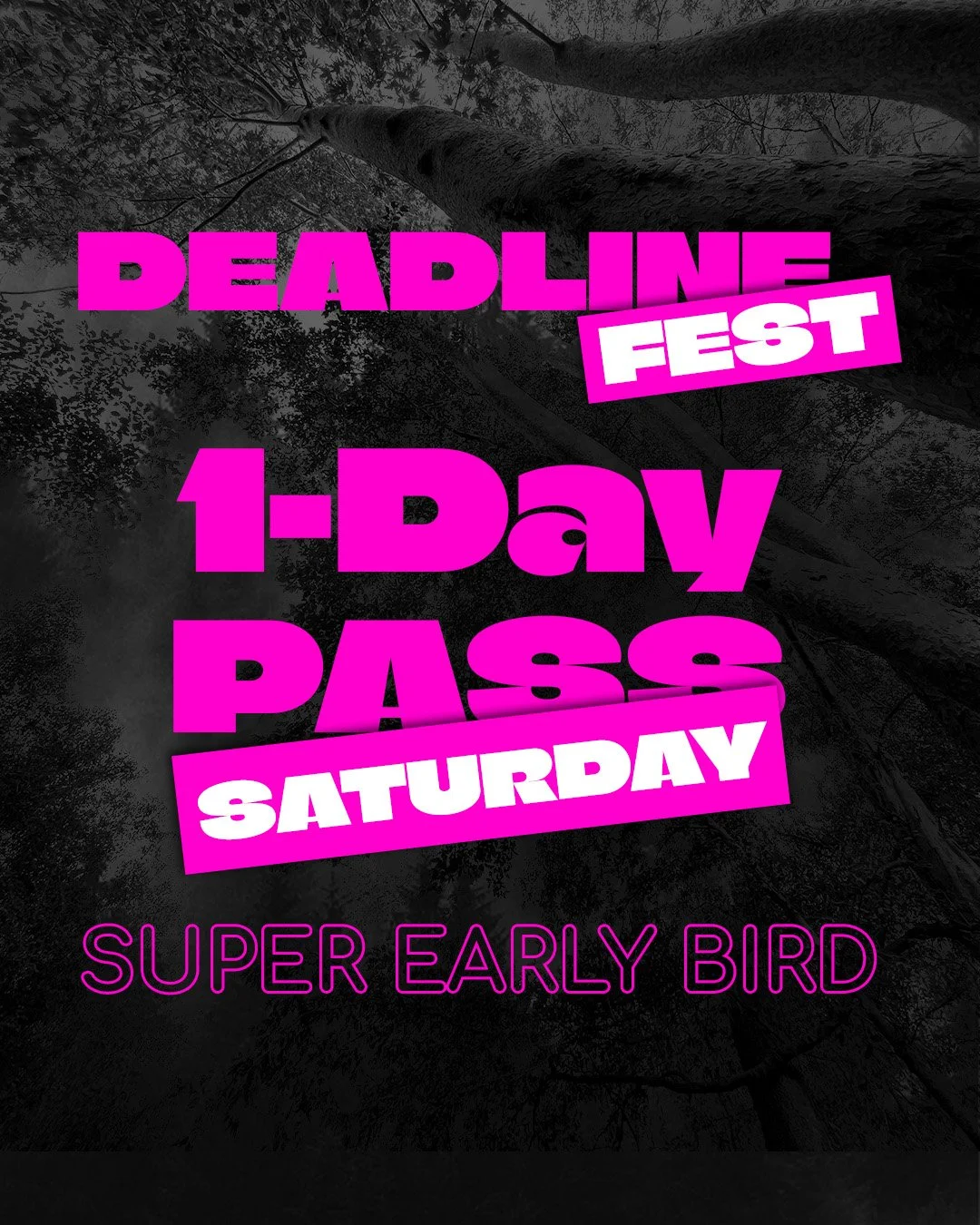 1Day Pass SATURDAY.jpg