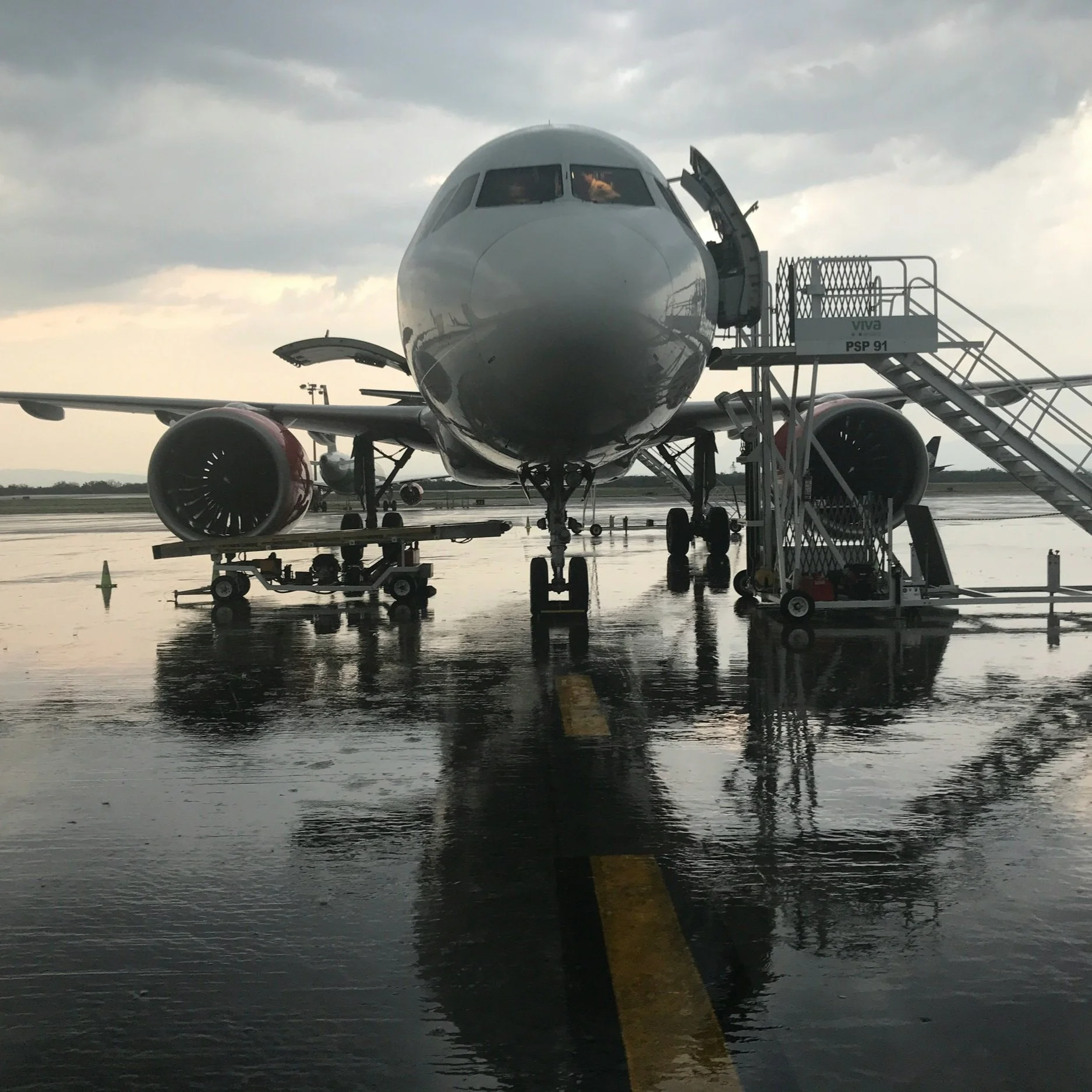 Why Airplane Food Tastes So Bland