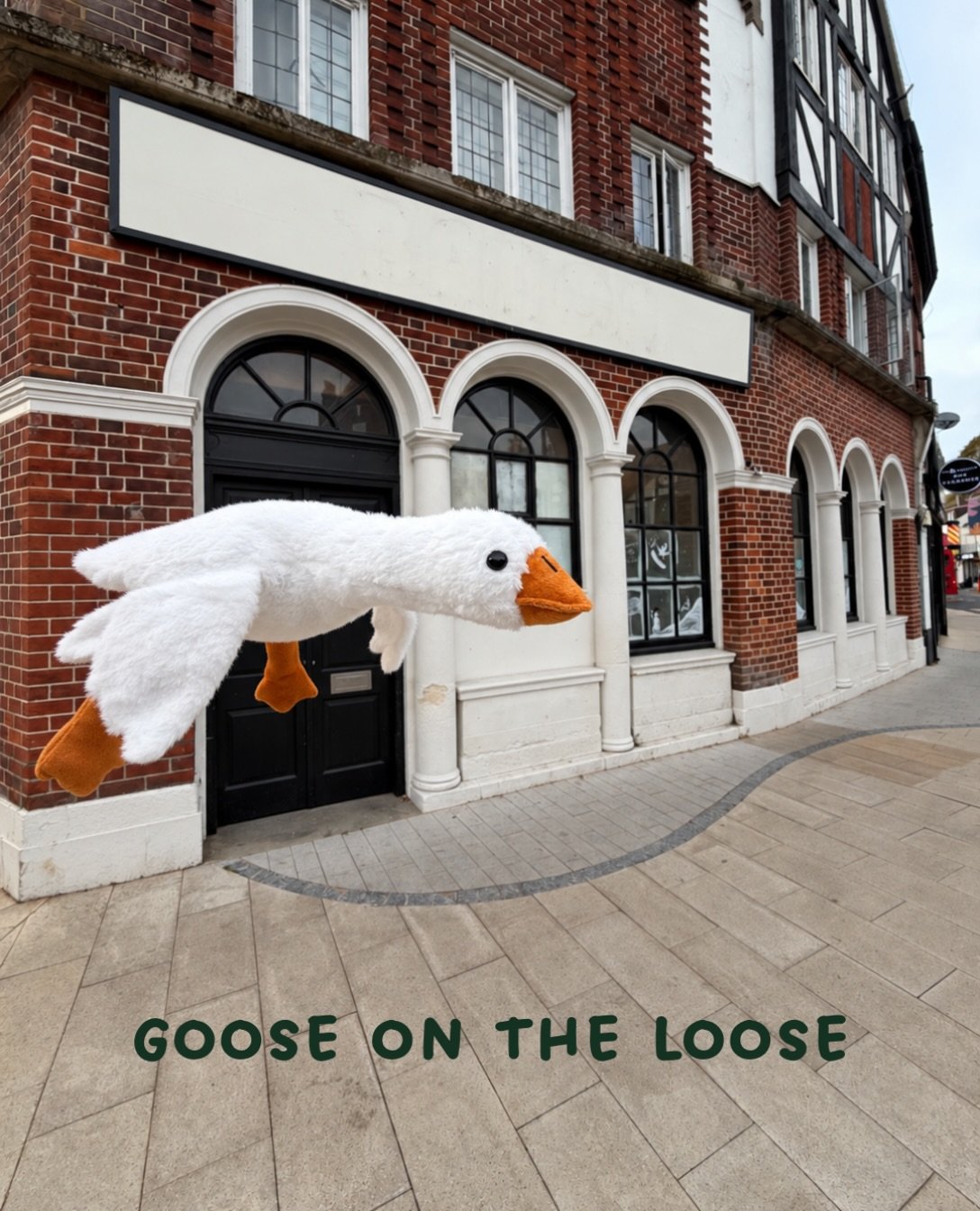 🚨GOOSE ON THE LOOSE&hellip; AGAIN 🚨

With East Croydon up and running, this goose has decided it&rsquo;s time to spread its wings and head off on another adventure.

Can you guess where we&rsquo;re landing next?

Details dropping soon. HONK!

#GRUM