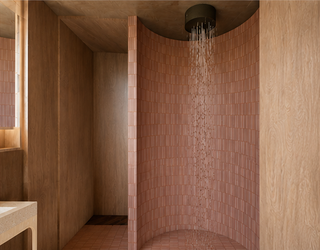 Ensuite 12_31_09 PM.png