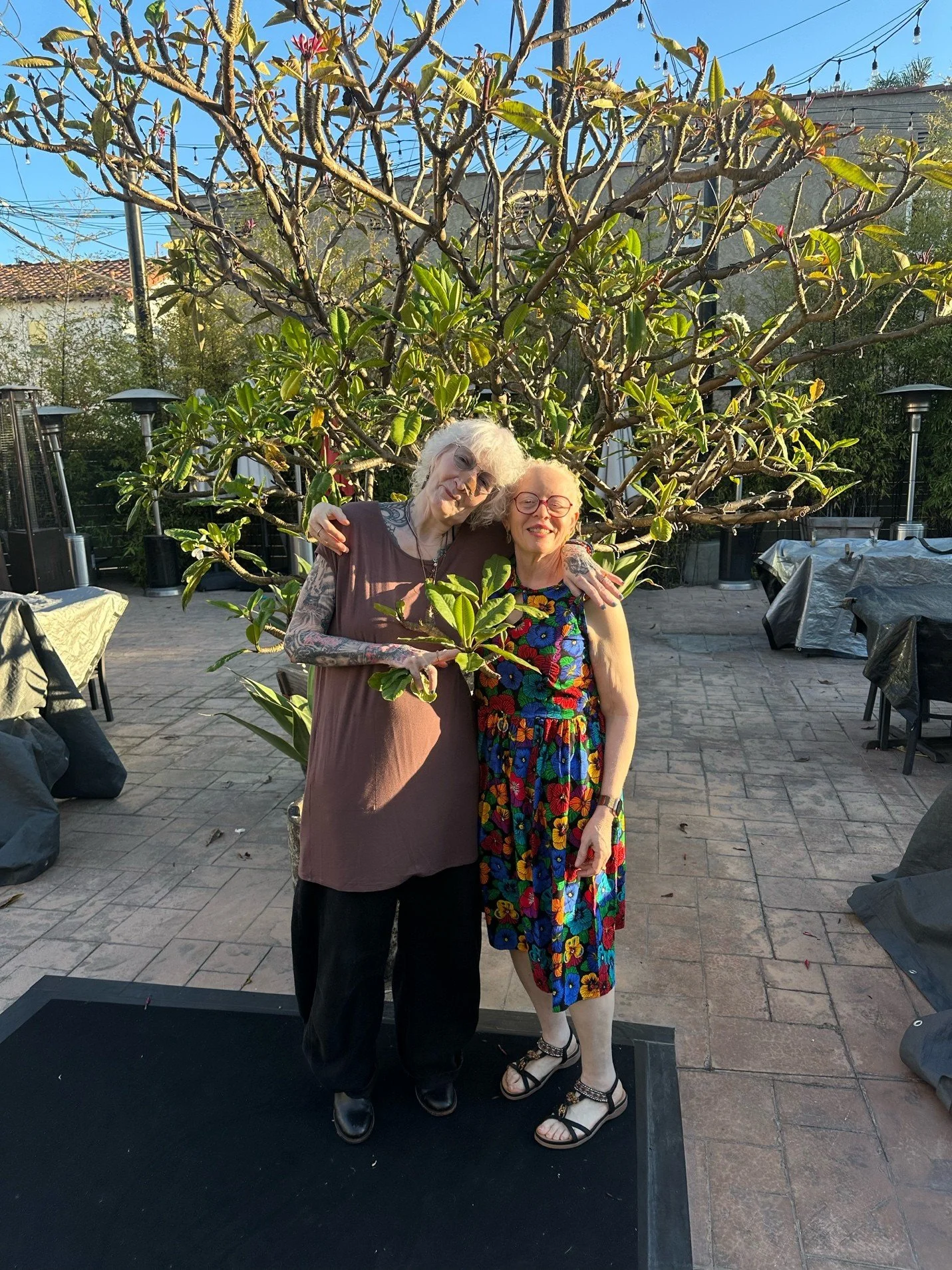 On the Bond of Friendship