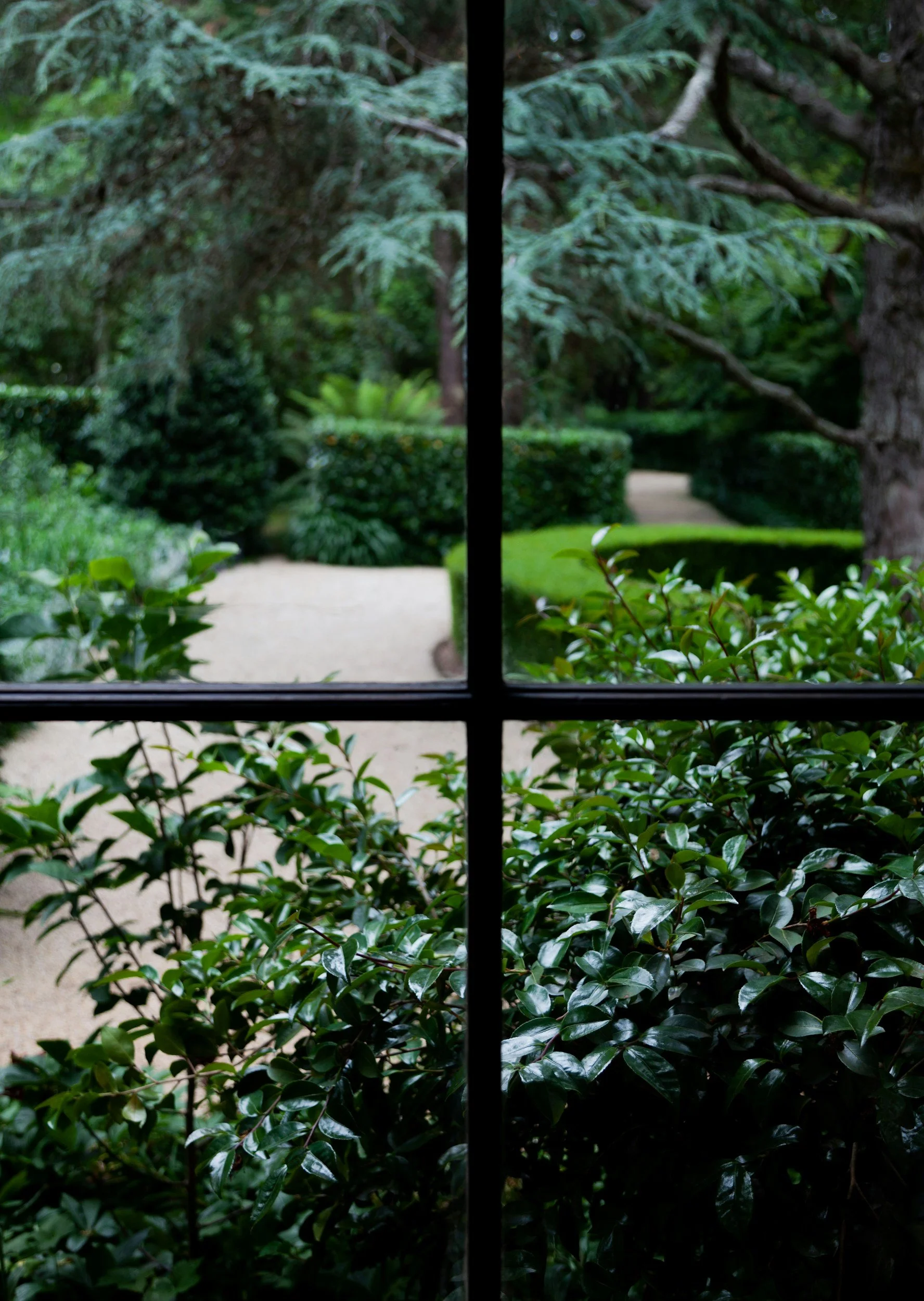 View of a lush green garden through a window with black grid panes, featuring trees, bushes, and a pathway.
