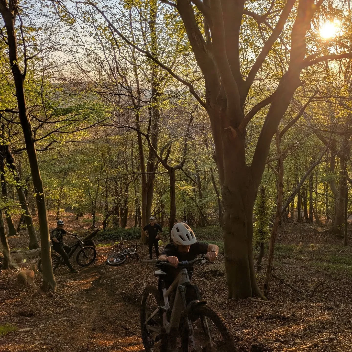 The local is firing right now 🤌🏼

#croxleybikes #emtb #mountainbiking
