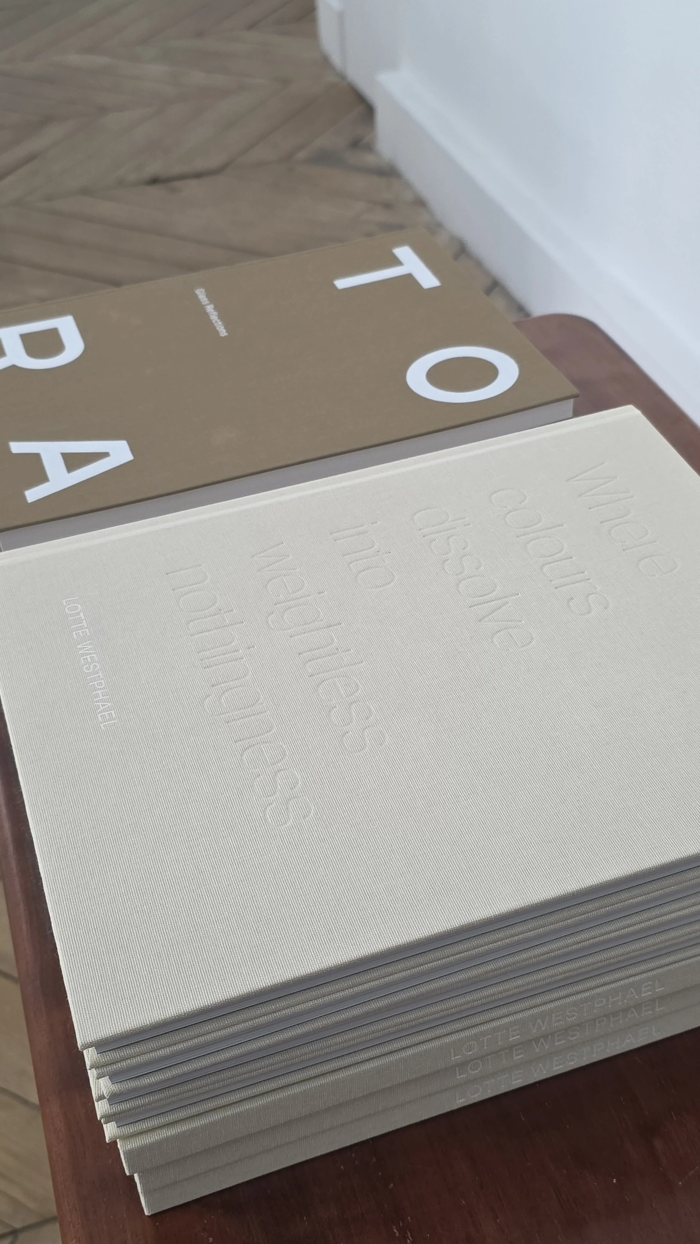 Bogdesign / Monograph – Keramiker Lotte Westphael