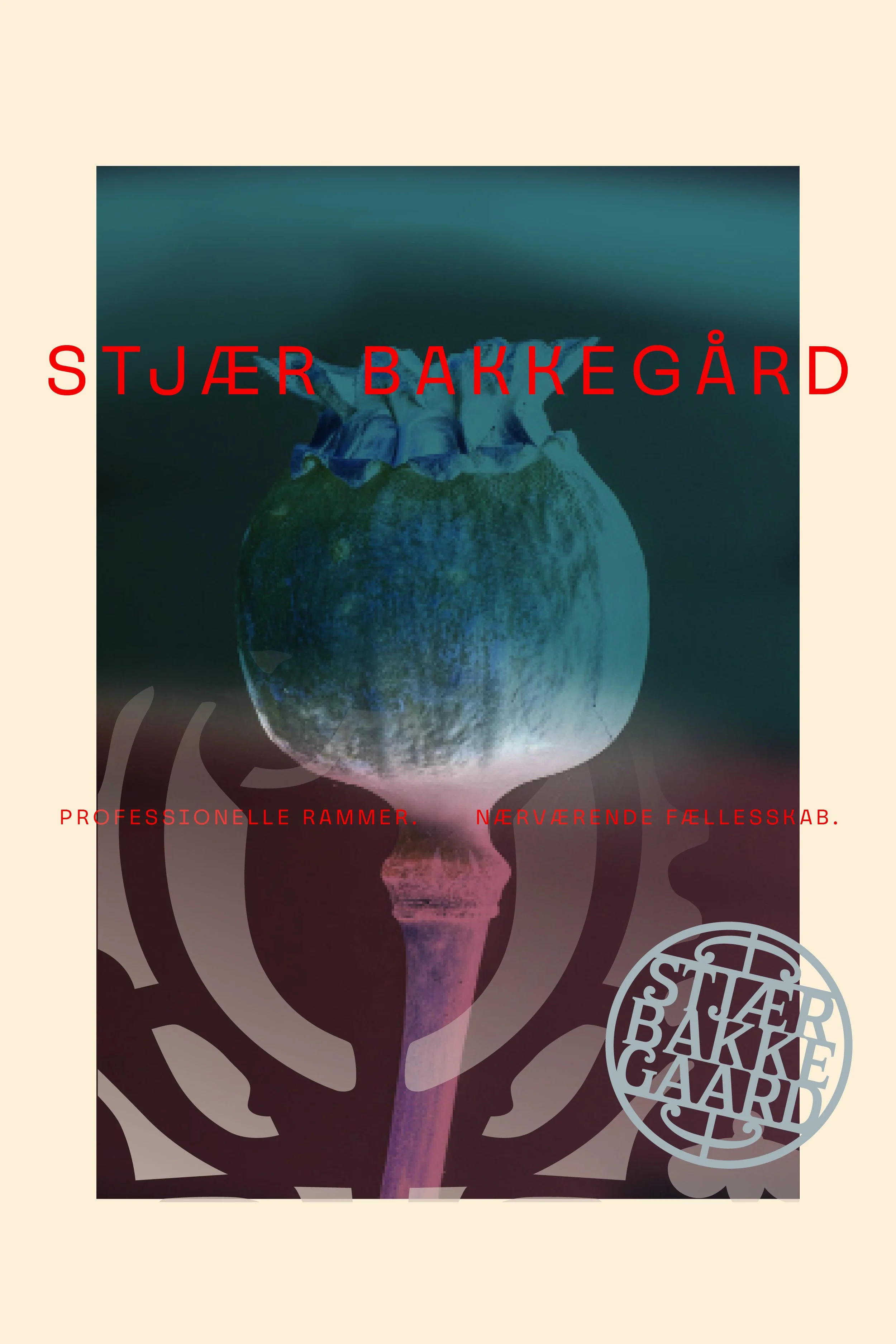 600x900_CasesBakkegaarden.jpg