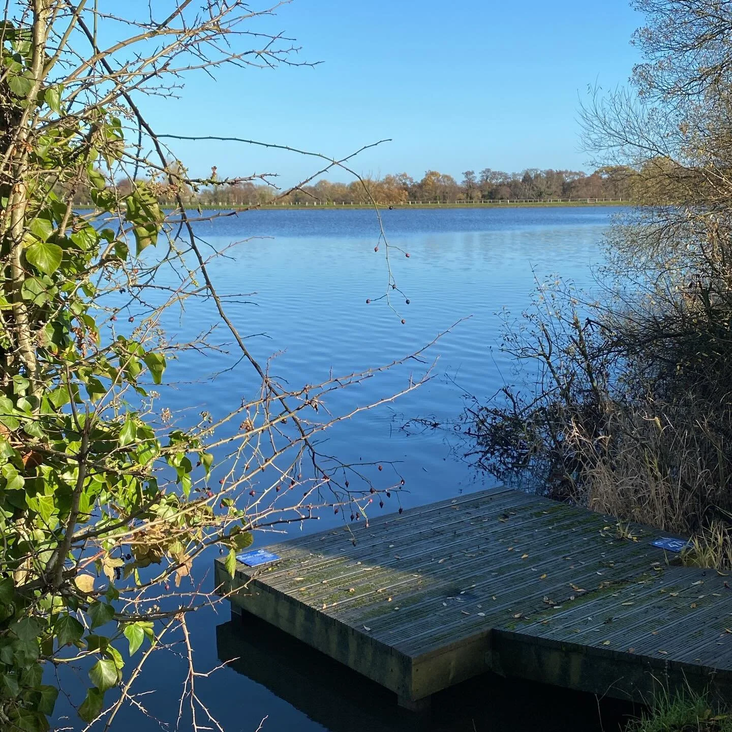 After 30 years in business. Working from home now gives me freedom to enjoy life somewhat more.