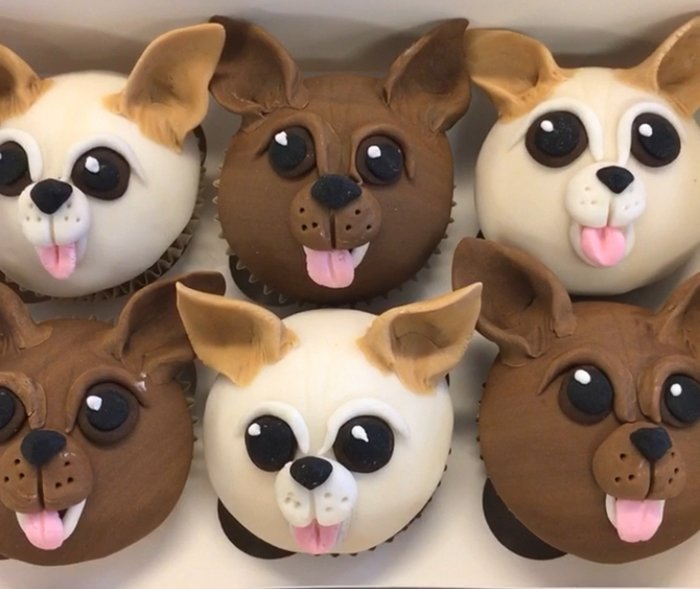 Chihuahua Cupcakes