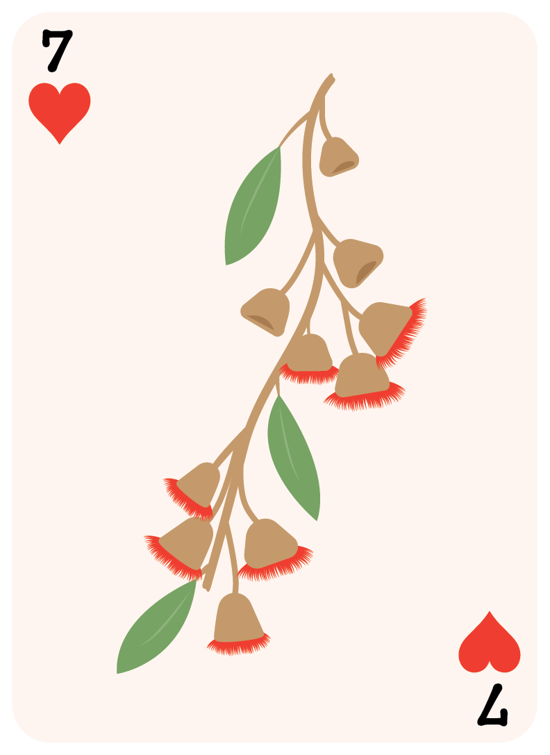 card-flowers-gumnut-07.png