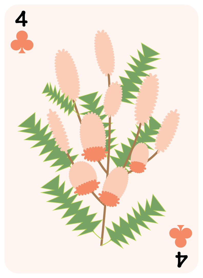 clubs set-04.png