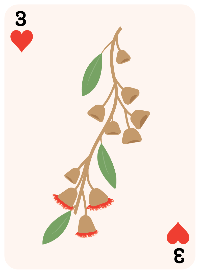 card-flowers-gumnut-03.png