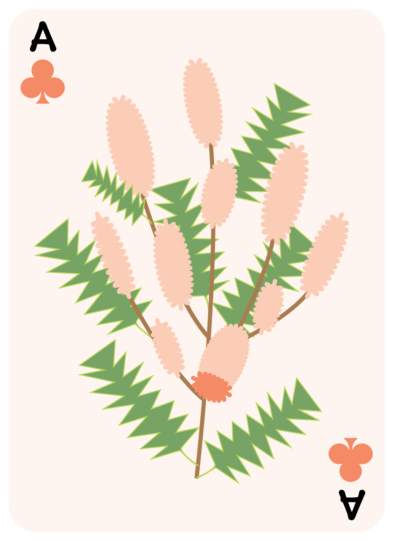 clubs set-01.png