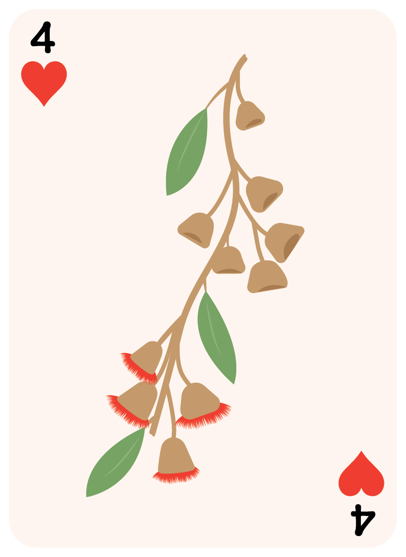 card-flowers-gumnut-04.png