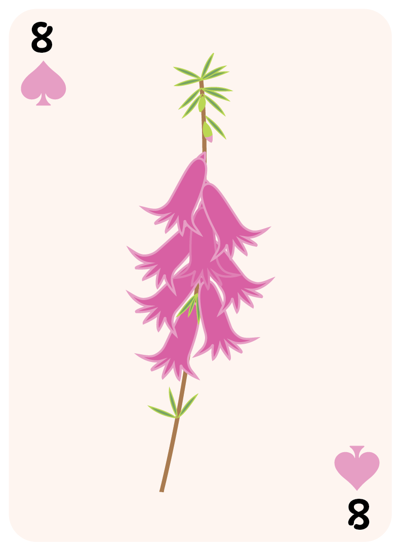 spades set-08.png