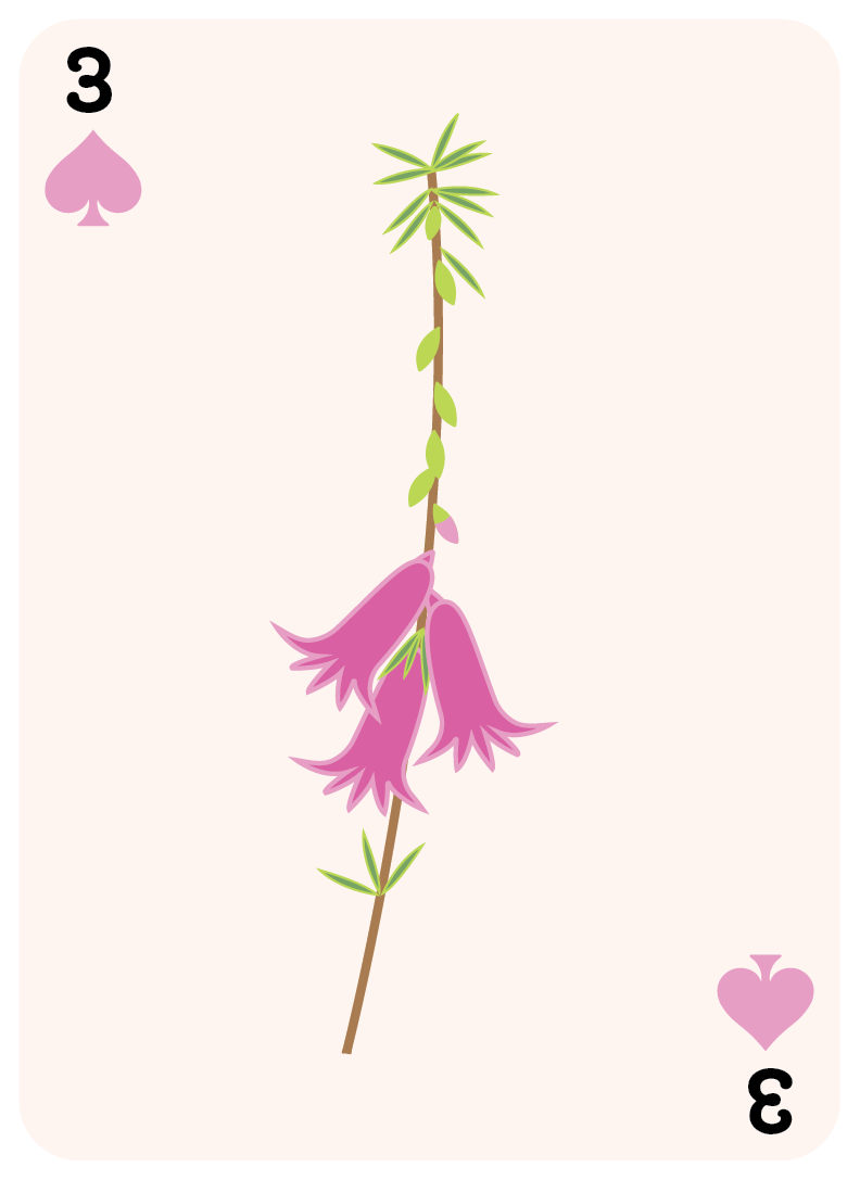 spades set-03.png