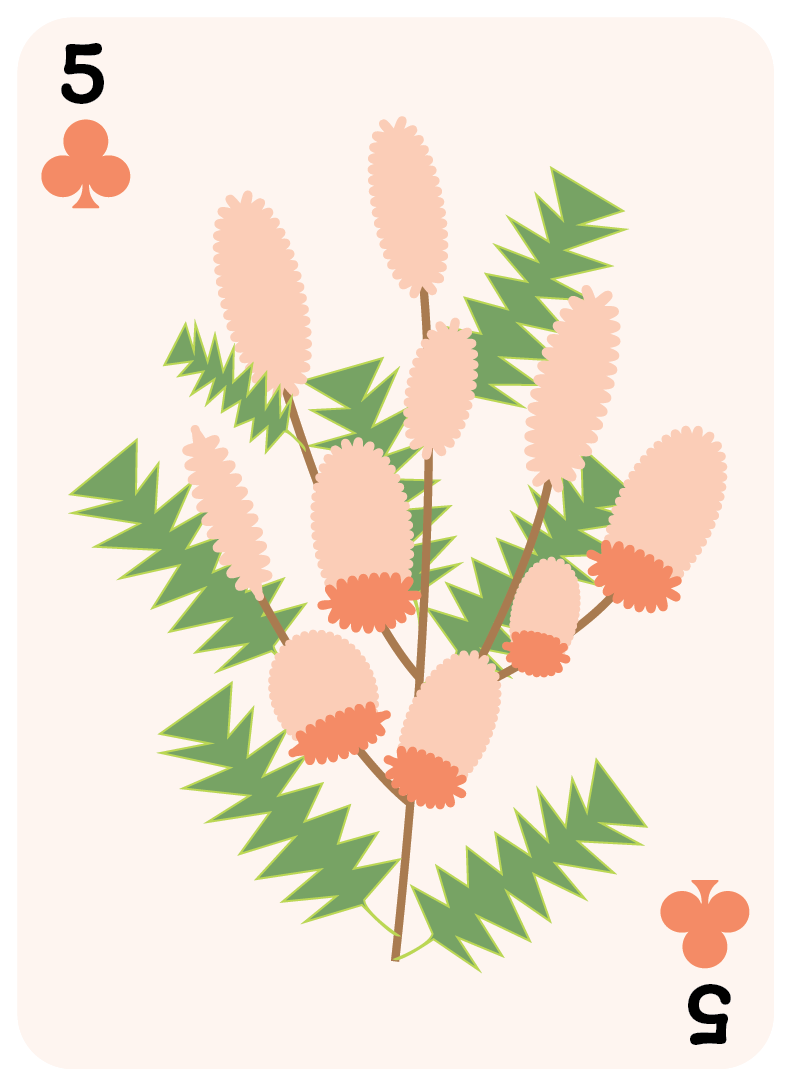clubs set-05.png