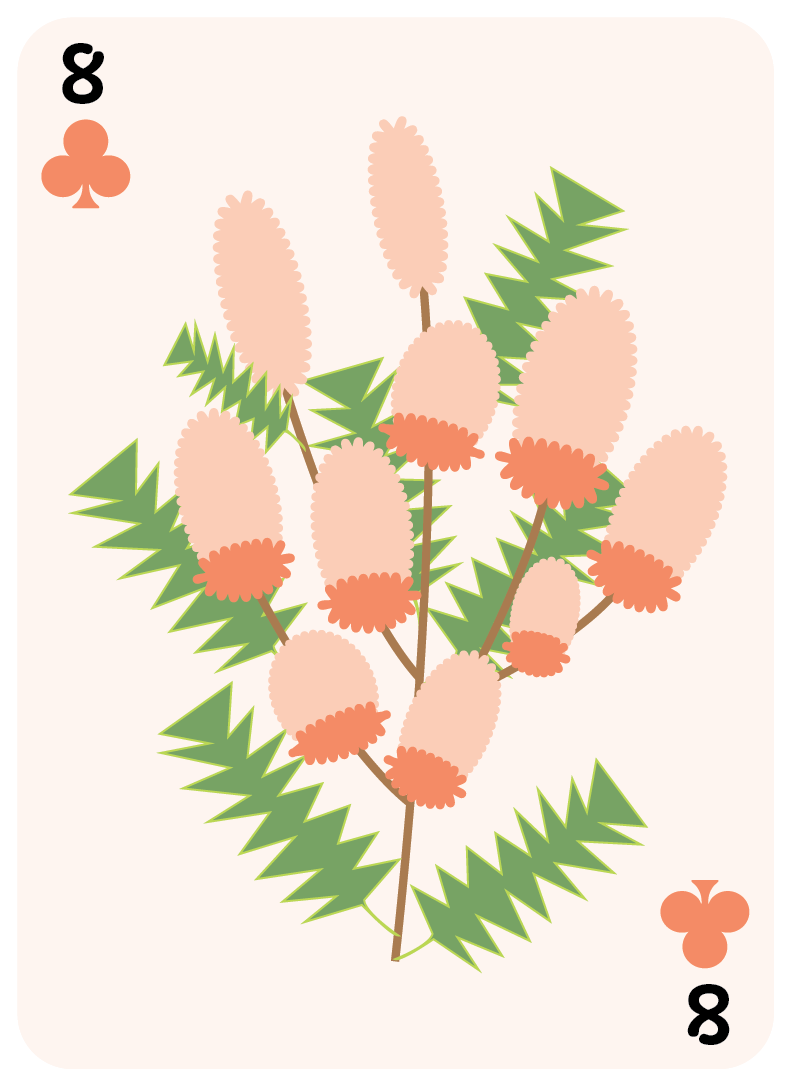 clubs set-08.png