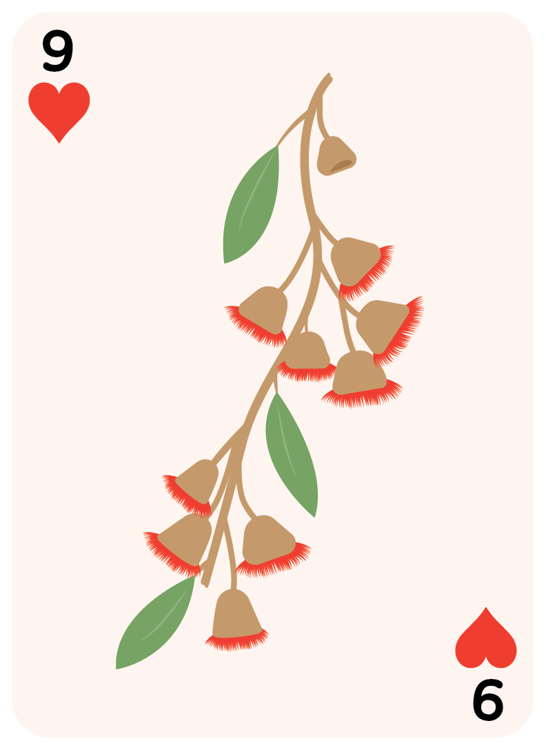 card-flowers-gumnut-09.png