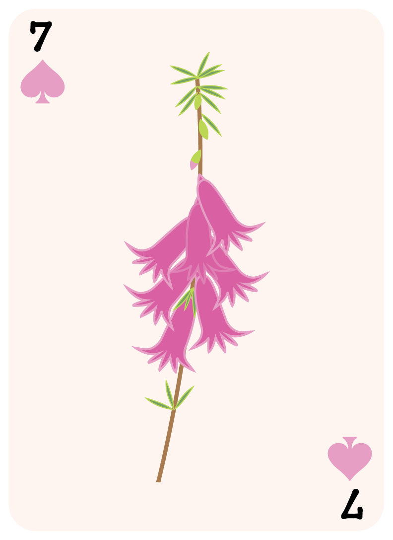 spades set-07.png