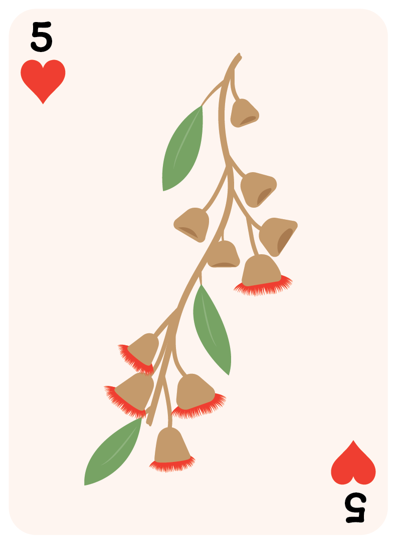 card-flowers-gumnut-05.png