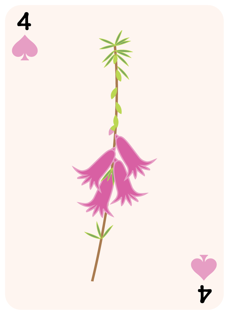 spades set-04.png