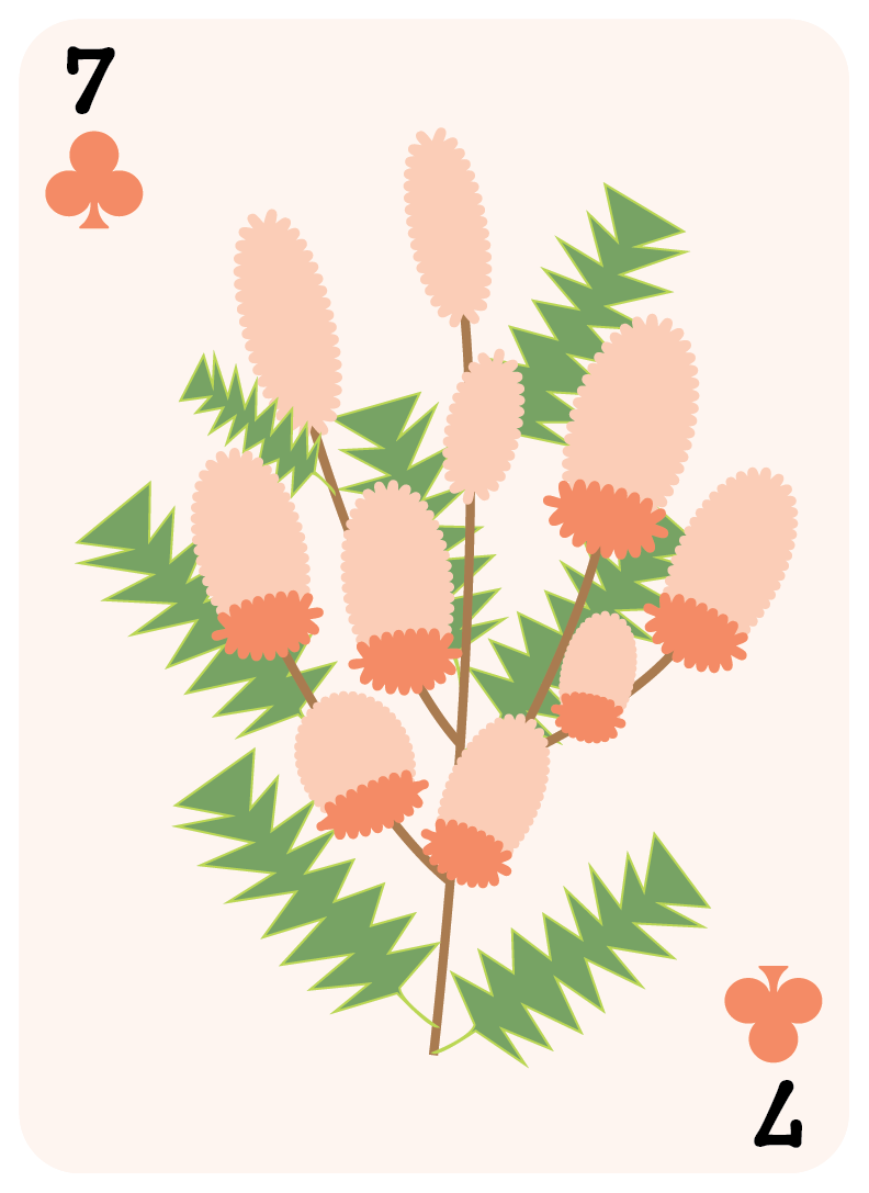 clubs set-07.png