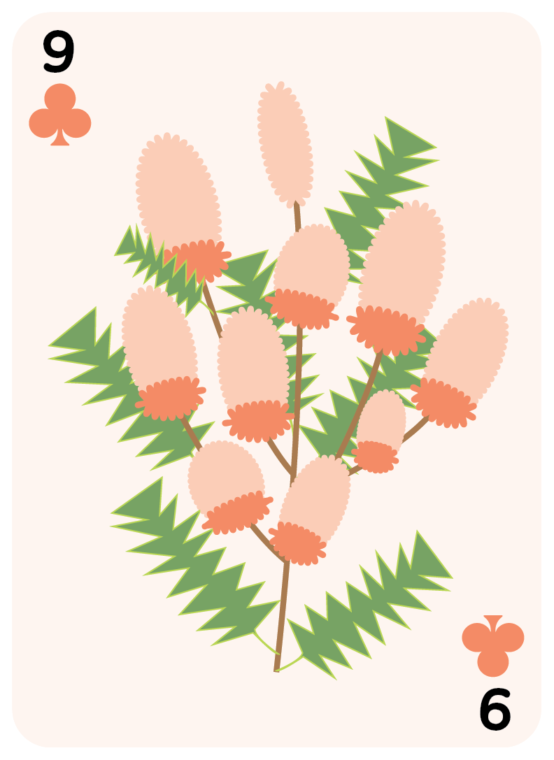 clubs set-09.png