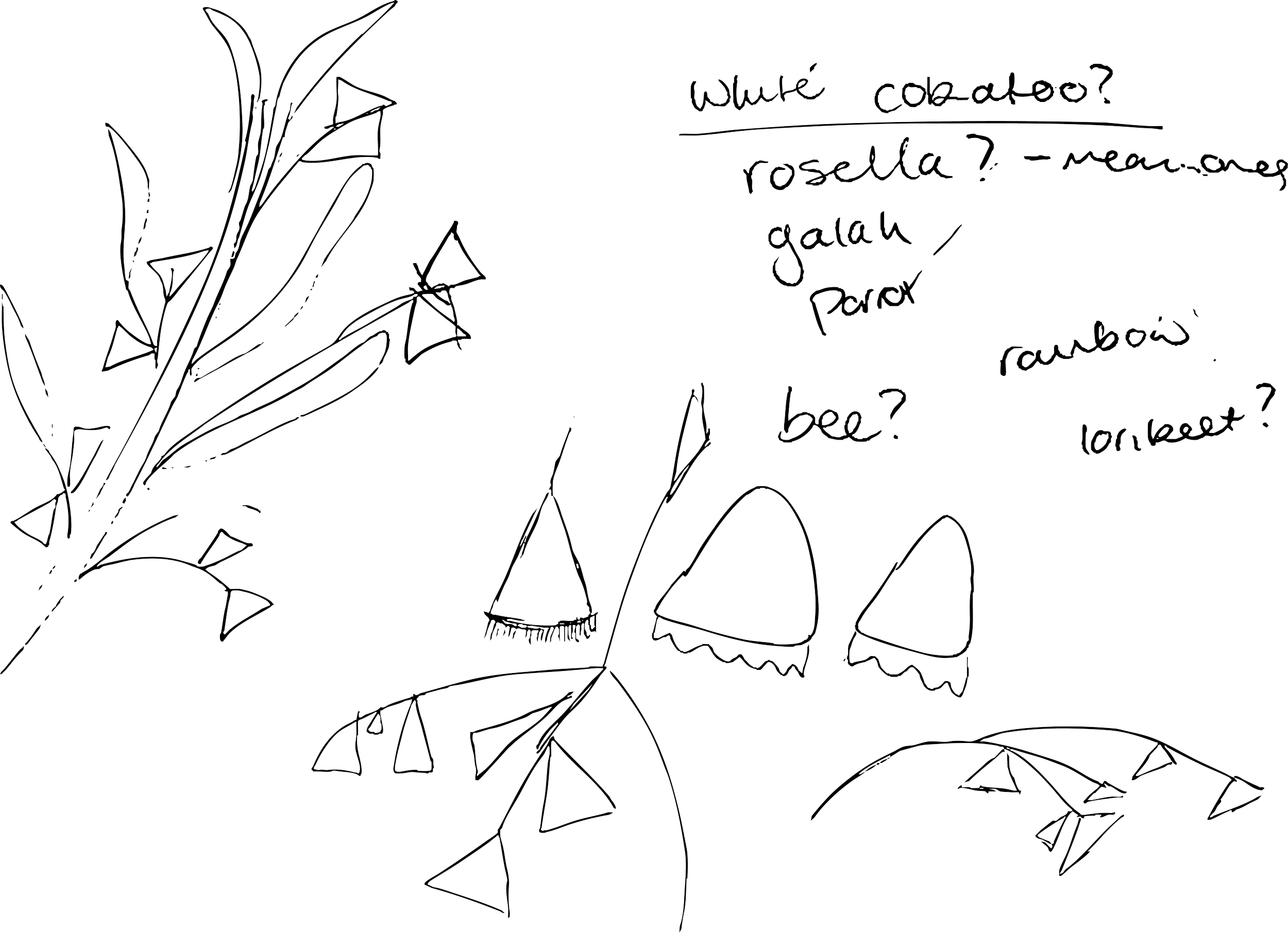 initial concept sketches