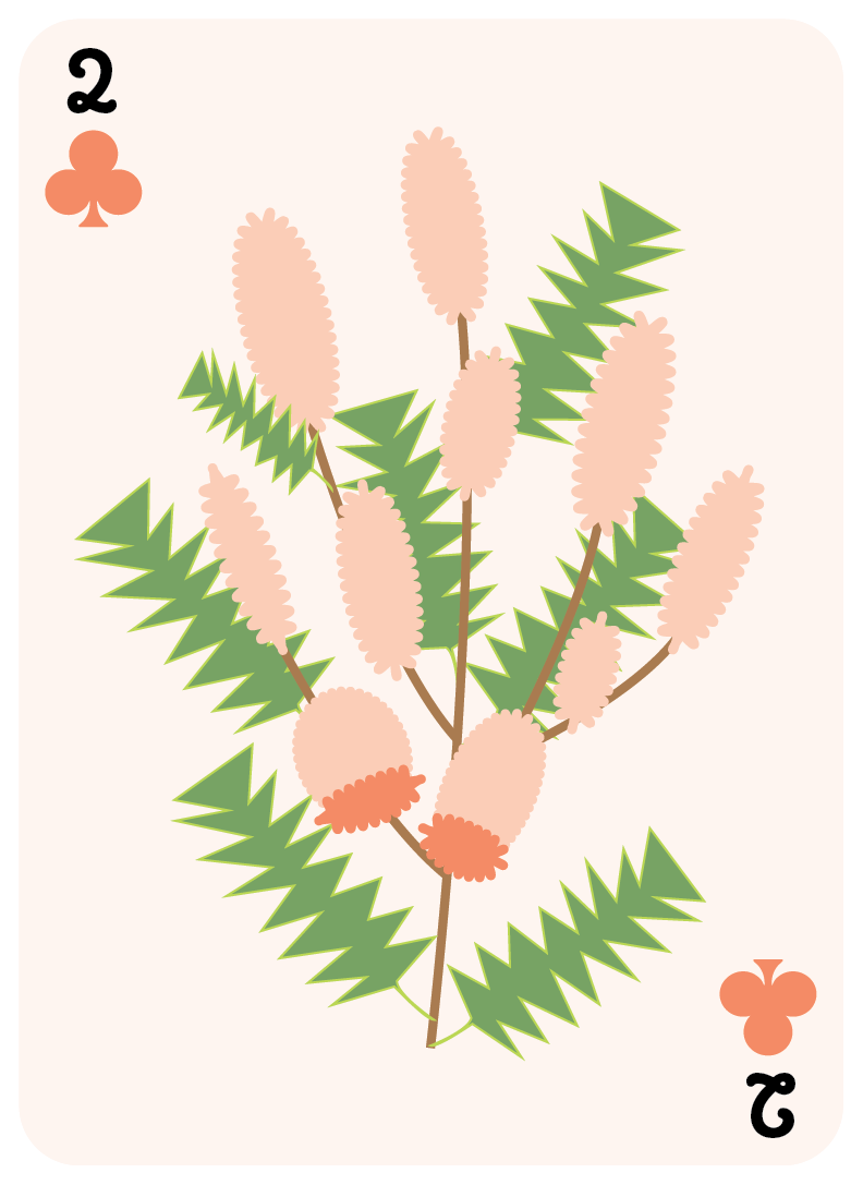 clubs set-02.png