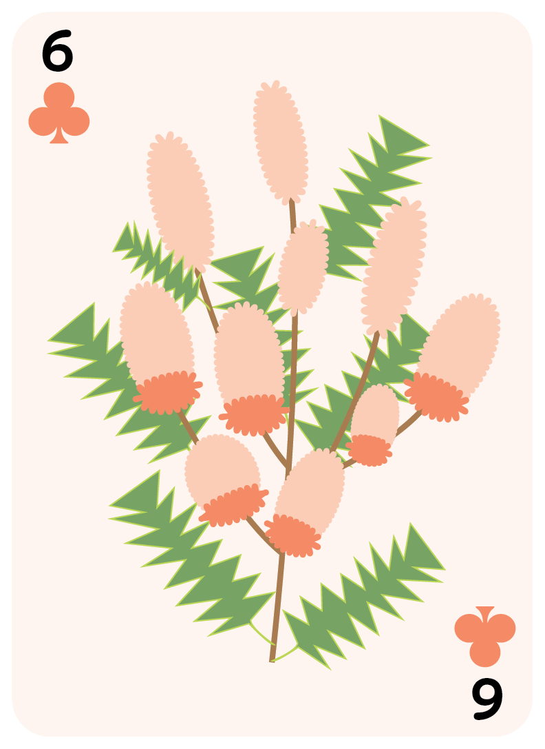 clubs set-06.png